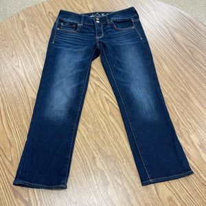 American Eagle Artist stretch crop pants
